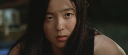 Tabi no omosa / Journey Into Solitude (1972)