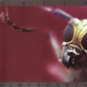Calla - Albums Collection 1999-2007 [5CD]