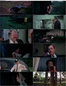 The Town That Dreaded Sundown (1976)