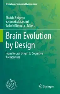 Brain Evolution by Design: From Neural Origin to Cognitive Architecture