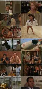 They're a Weird Mob (1966)