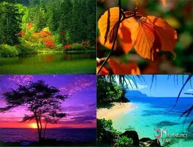 Nature Pictures Collection