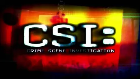 CSI: Crime Scene Investigation S12E08 "Crime After Crime"
