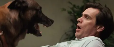 Yes Man (2008)