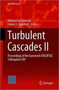 Turbulent Cascades II: Proceedings of the Euromech-ERCOFTAC Colloquium 589
