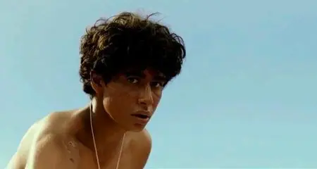 Vita di Pi (2012)