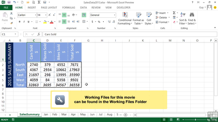 Infinite Skills: Learning Microsoft Excel 2013 [repost]