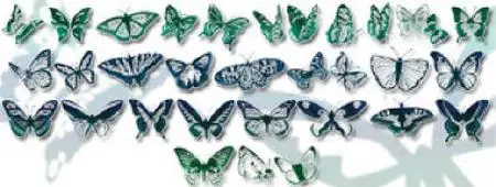 Butterfly brushes for Photoshop