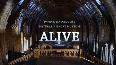 BSkyB - David Attenborough’s Natural History Museum Alive (2013)