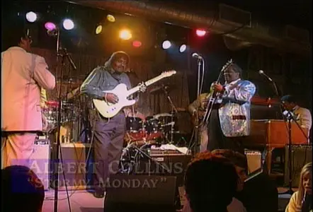 B.B. King: Blues Summit Concert (1993)