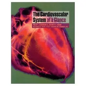 The Cardiovascular System at a Glance  [Repost]