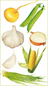 Vector Vegetables Pack #2