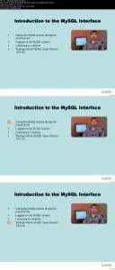 LiveLessons - SQL Fundamentals [repost]