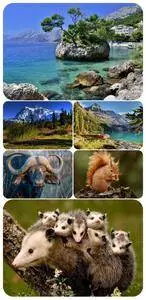 Wallpapers - Nature and animals 12