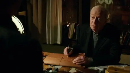 The Last Witch Hunter (2015)