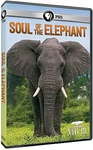 PBS - NATURE: Soul of the Elephant (2015)