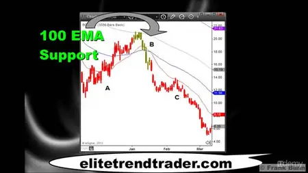 Elite Trend Trader