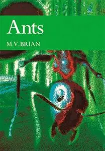 Ants (Collins New Naturalist Library)