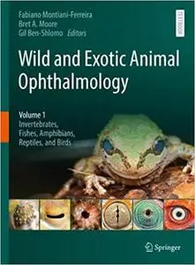 Wild and Exotic Animal Ophthalmology: Volume 1