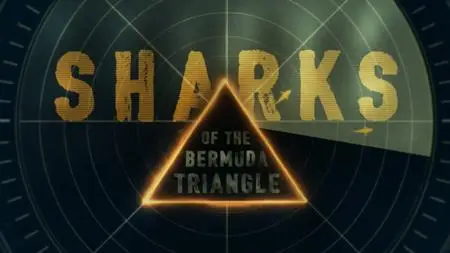 NG. - Sharks of The Bermuda Triangle (2020)