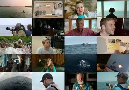 BBC Natural World - Humpback Whales: A Detective Story (2019)