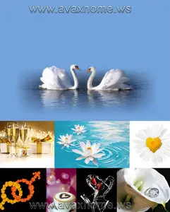 Love background