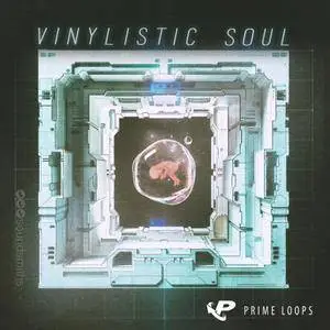 Prime Loops Vinylistic Soul MULTiFORMAT