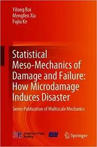Statistical Meso-Mechanics of Damage and Failure How Microdamage Induces Disaster Series Publicat...