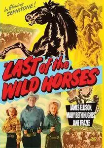 Last of the Wild Horses (1948)