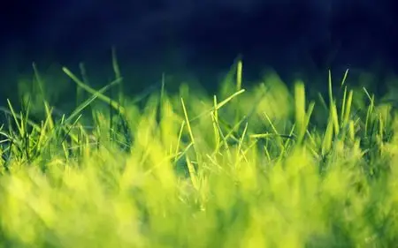 HD Wallpapers Wide Pack №47