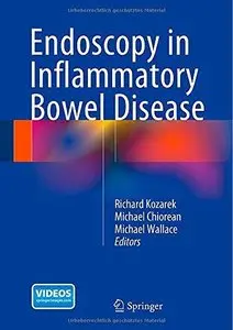 Endoscopy in Inflammatory Bowel Disease 