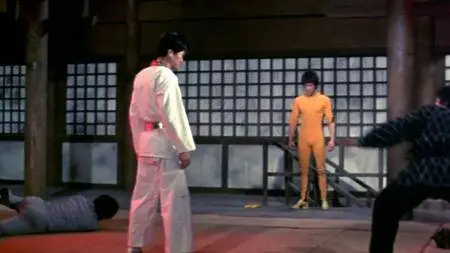 Bruce Lee, the Legend (1984)