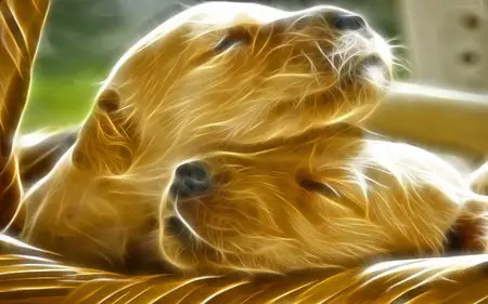 Wellpapers Fantasy Animal 2