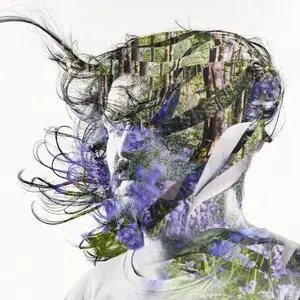 Bibio - Ribbons (2019)