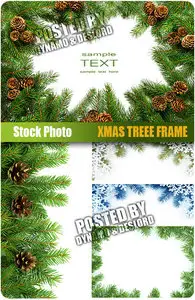 UHQ Stock Photo - Xmas Treee Frame