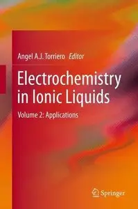 Electrochemistry in Ionic Liquids: Volume 2: Applications