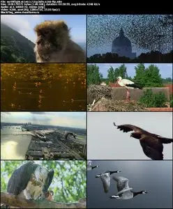 Earthflight S01E03