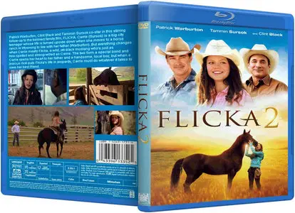 Flicka 2 (2010)