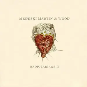 Medeski Martin & Wood - Radiolarians II (2009)