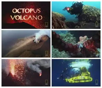 National Geographic - Octopus Volcano
