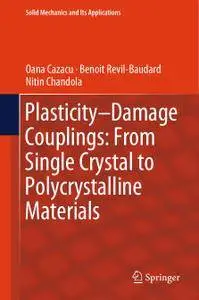 Plasticity-Damage Couplings: From Single Crystal to Polycrystalline Materials (Repost)