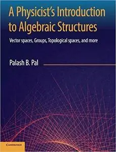 A Physicist's Introduction to Algebraic Structures