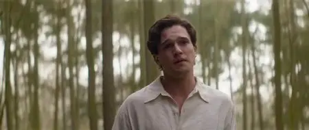 Testament of Youth (2014)