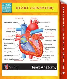 «Heart (Advanced) Speedy Study Guides» by Speedy Publishing