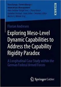 Exploring Meso-Level Dynamic Capabilities to Address the Capability Rigidity Paradox