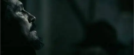Stake Land (2010)