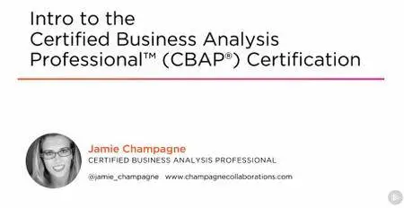 Intro to the Certified Business Analysis Professional™ (CBAP®) Certification