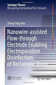 Nanowire-assisted Flow-through Electrode Enabling Electroporation Disinfection of Reclaimed Water