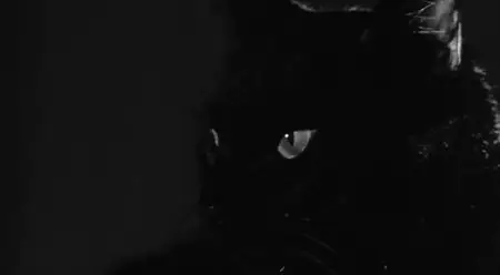 The Black Cat (1966)