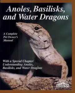 Anoles, Basilisks, and Water Dragons